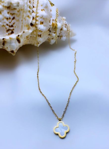 ÇELİK SEDEF TAŞLI KOLYE