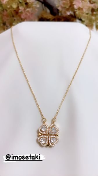 ÇELİK ÖZEL AÇILIR KAPANIR   KOLYE