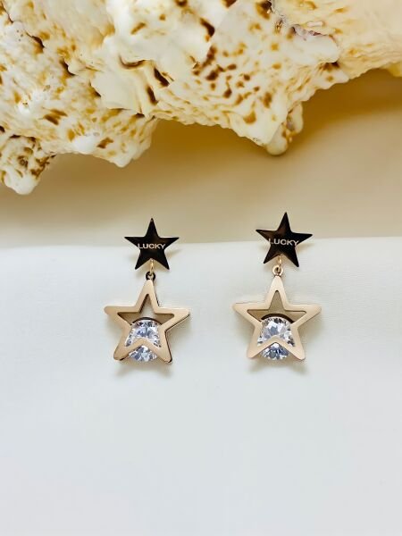 ÇELİK YILDIZ KÜPE